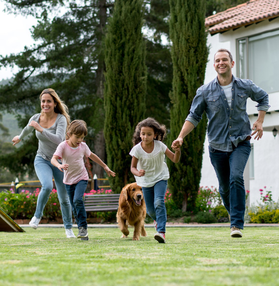 family in yard